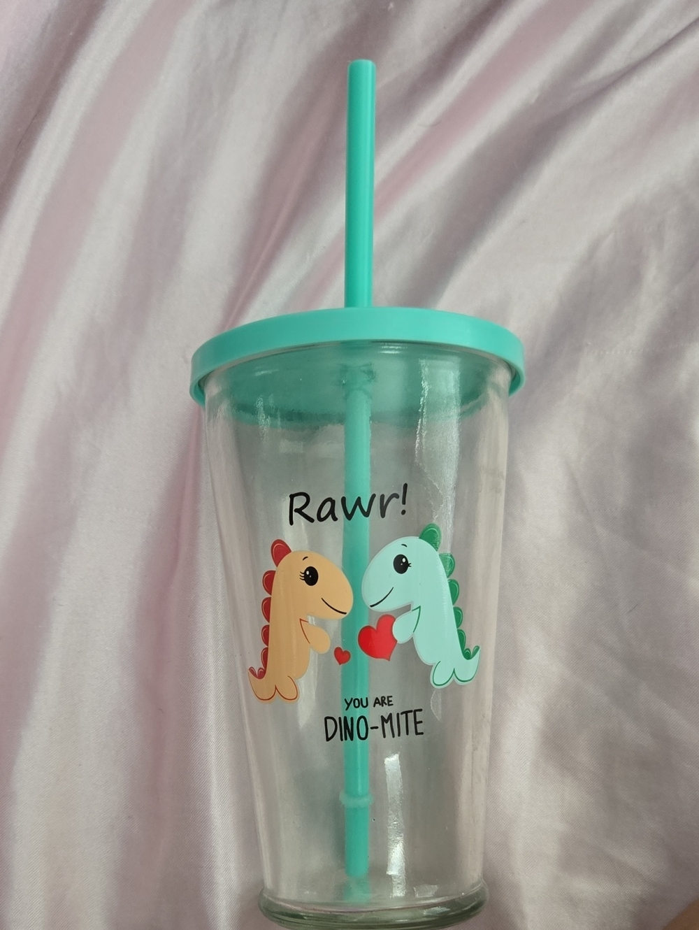 Acrylic Dino Tumbler with Straw - Mint Lid Never Used